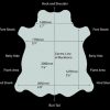 Vele Leather - Grigio - Image 2